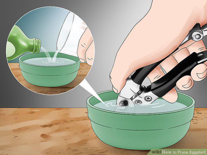 Step 8