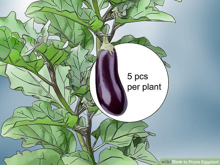 Step 10