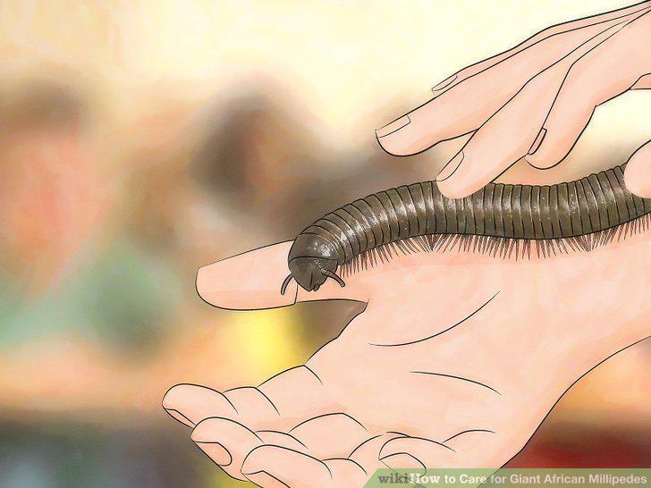 Step 11