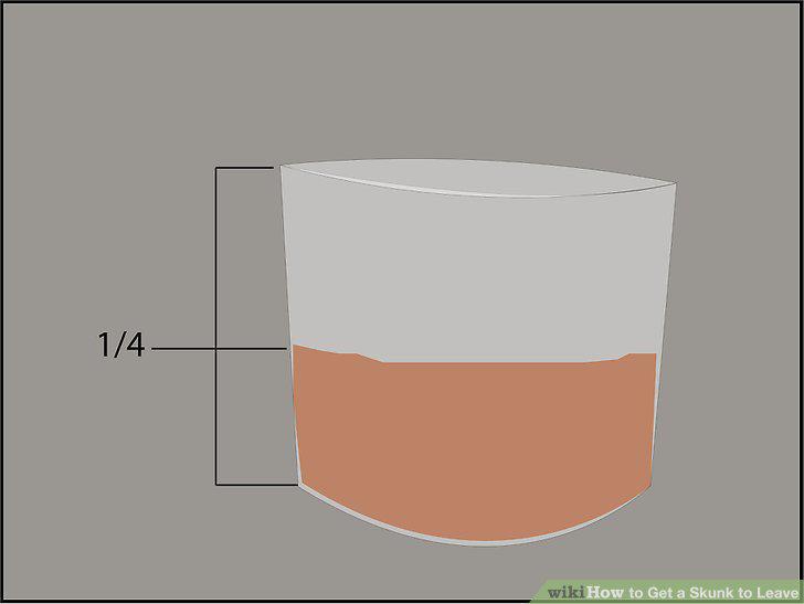 Step 5