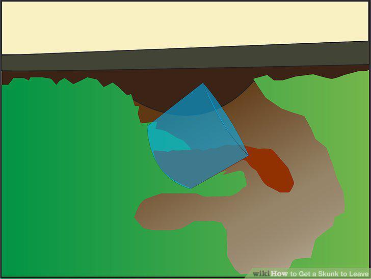 Step 6