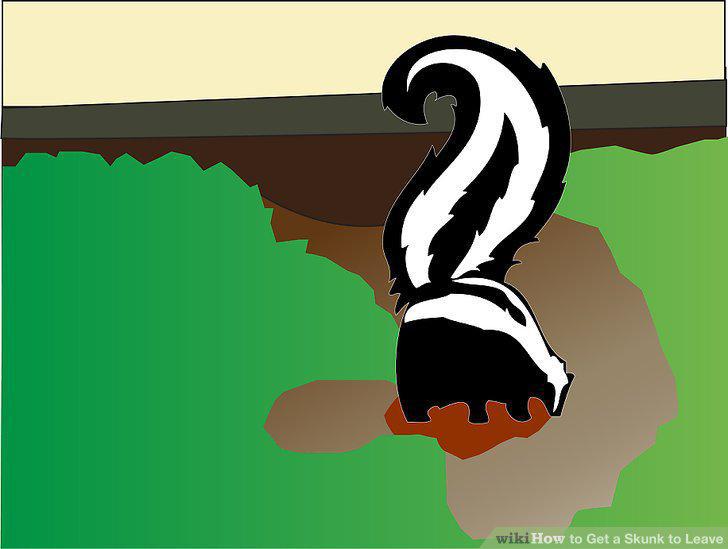 Step 7