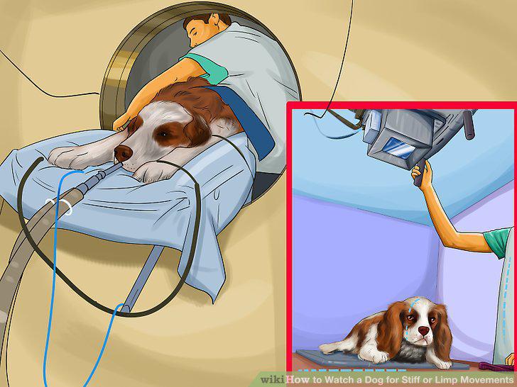 Step 12