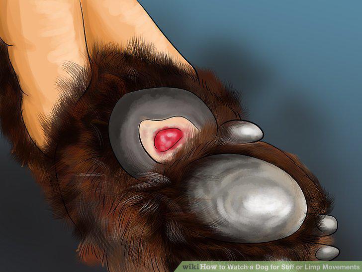 Step 8