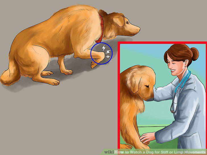 Step 10