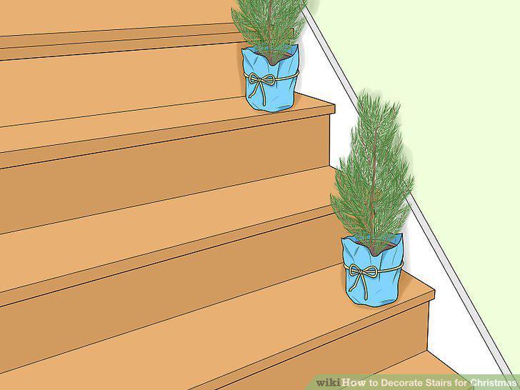 Step 15