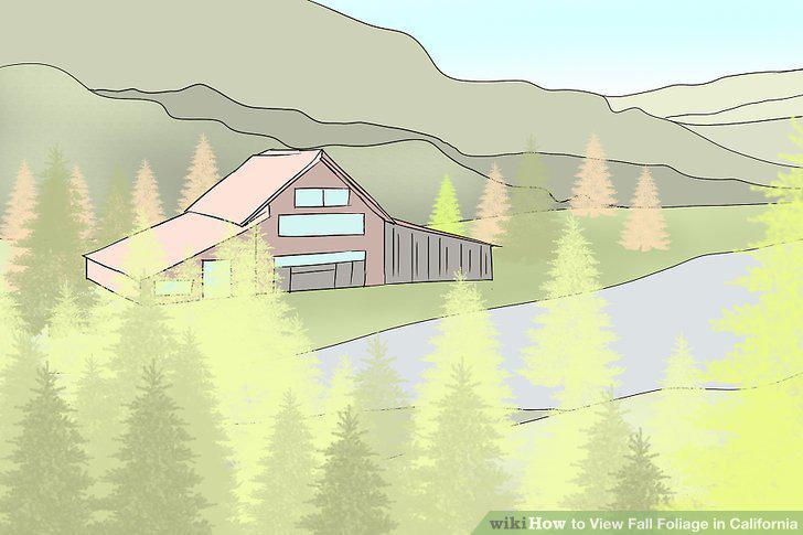 Step 10