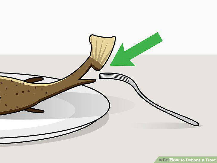 Step 12