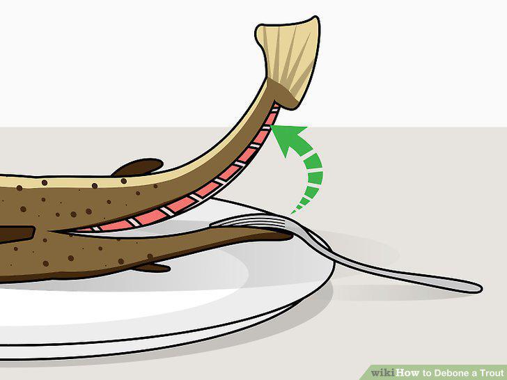 Step 13