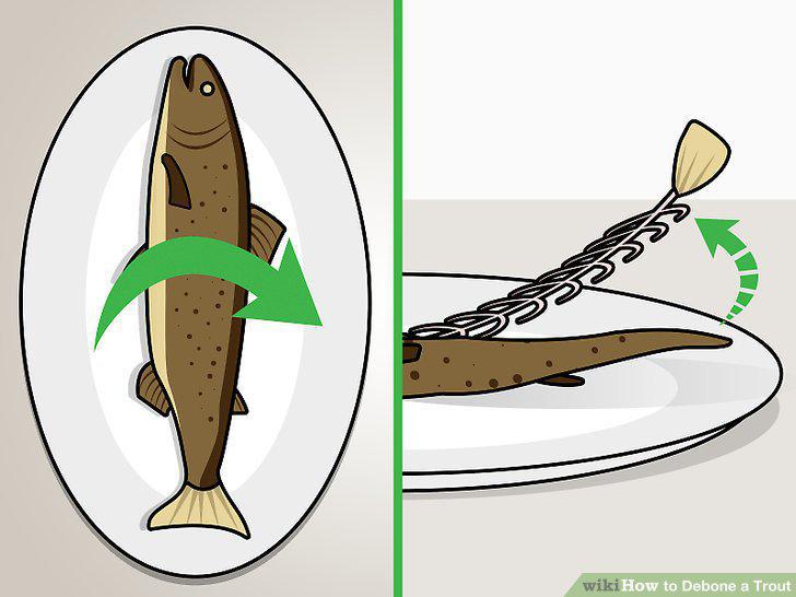 Step 14