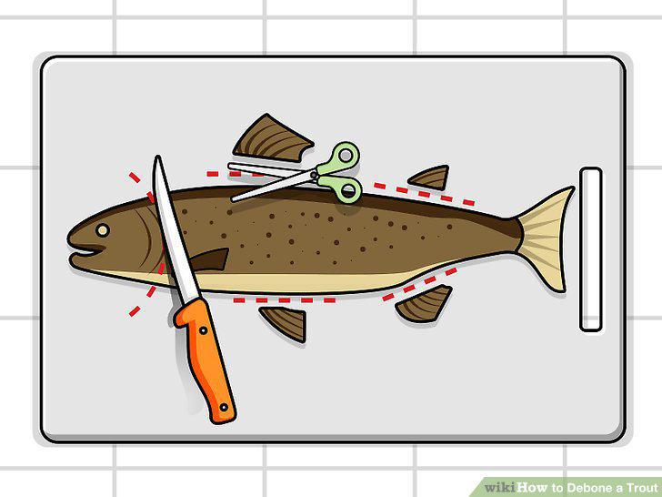 Step 6