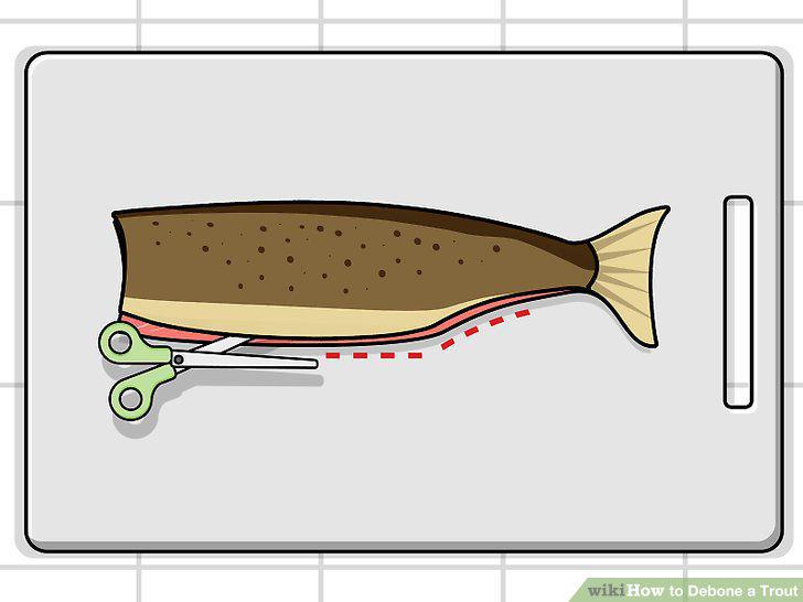 Step 7