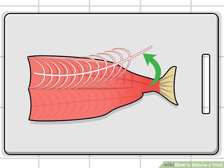Step 9