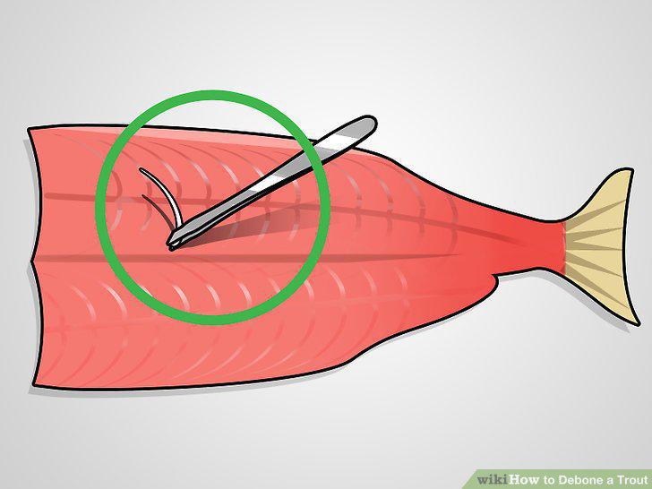 Step 10
