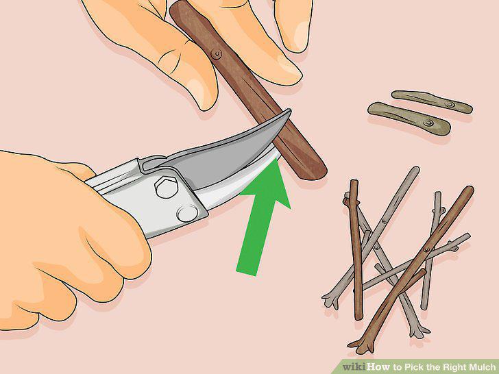 Step 11