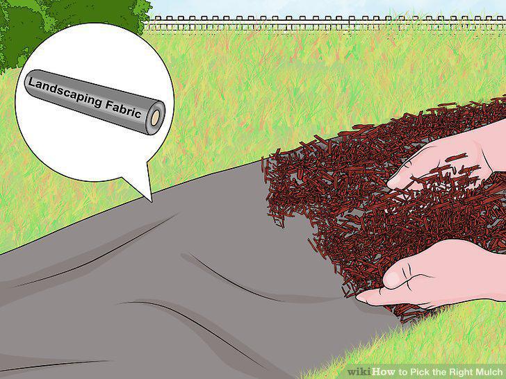 Step 14