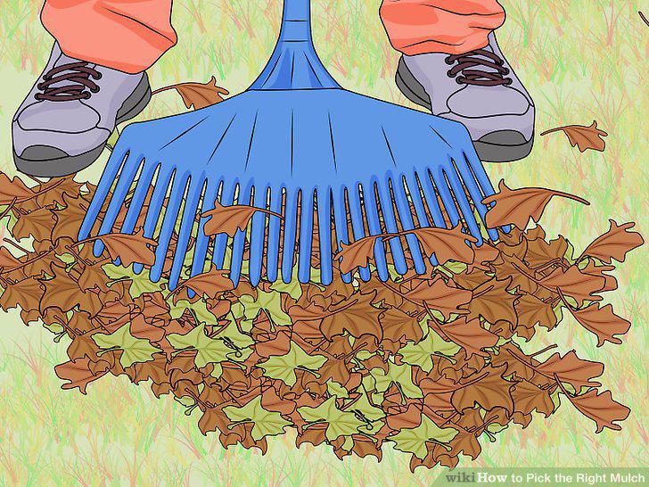 Step 10