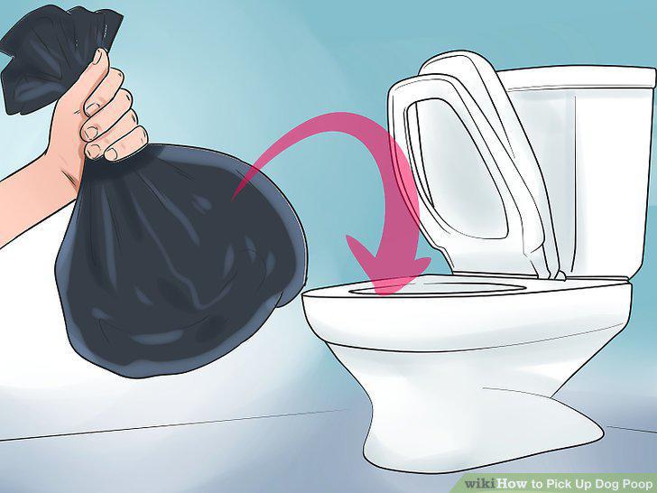 Step 11