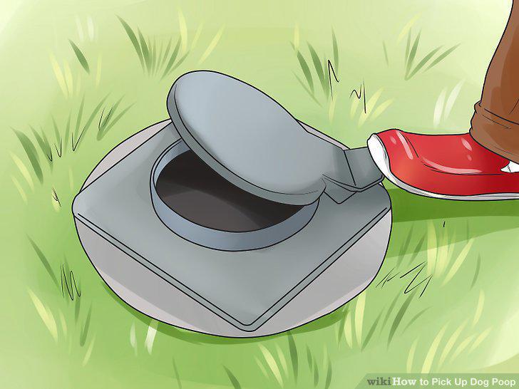 Step 12