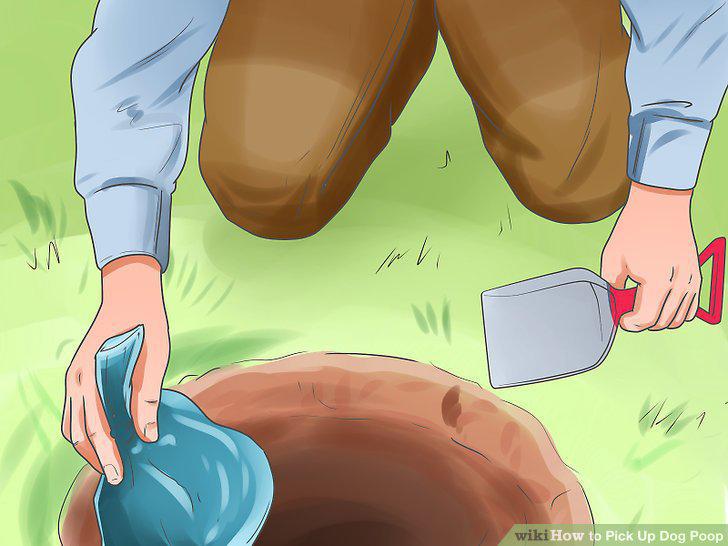 Step 14