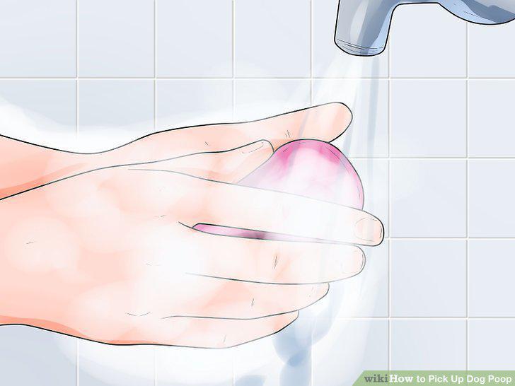 Step 15