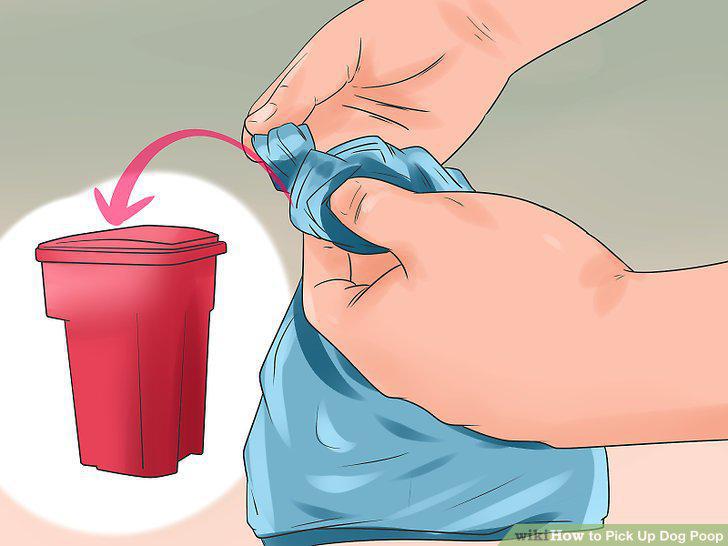 Step 5