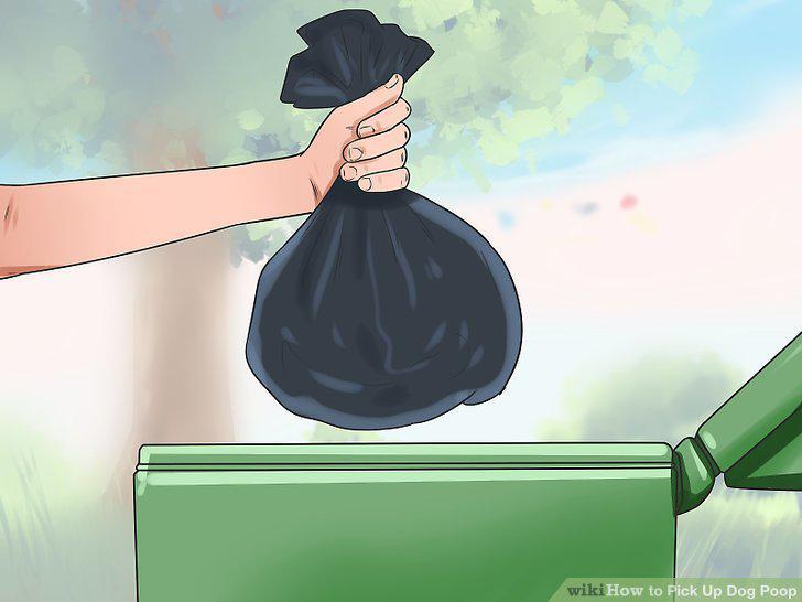 Step 10