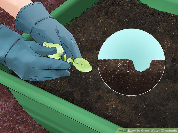 Step 5