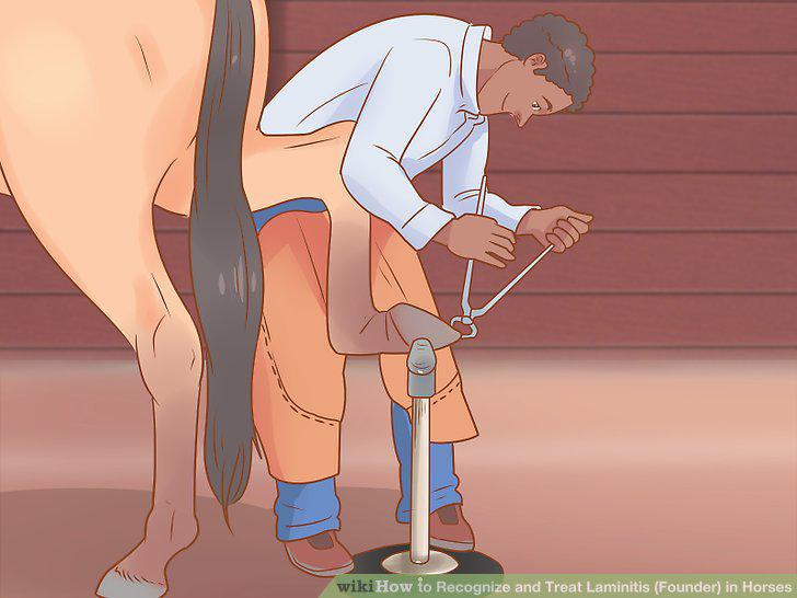 Step 12