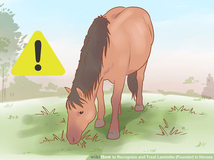 Step 14
