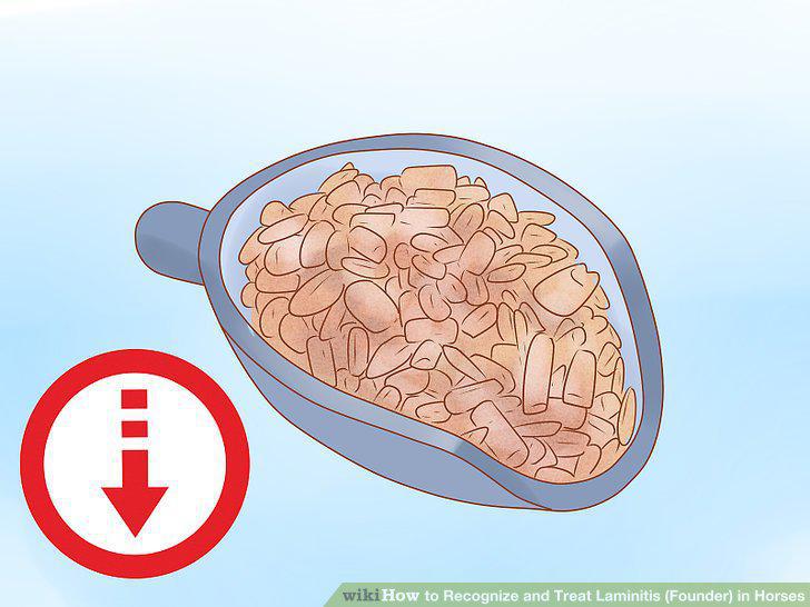 Step 15