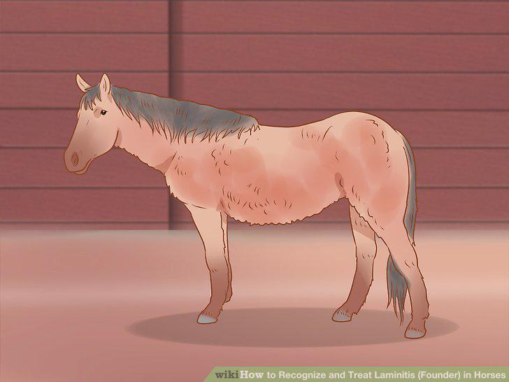 Step 16