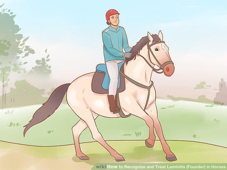 Step 18