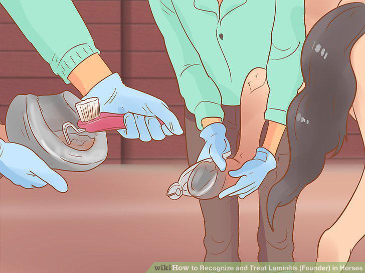 Step 19