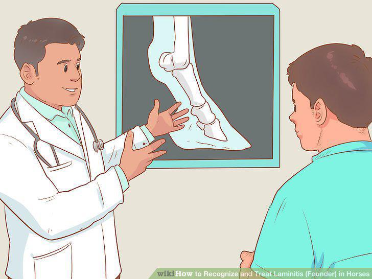 Step 10