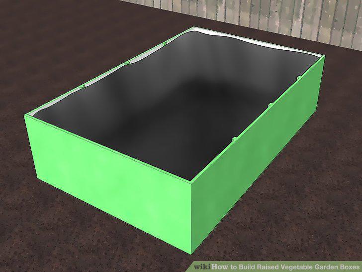 Step 12