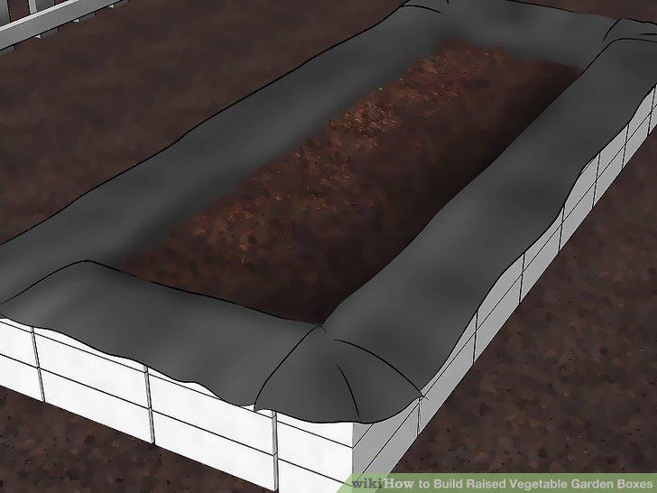 Step 20