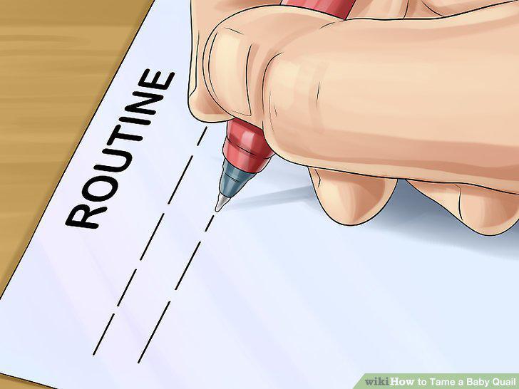 Step 12
