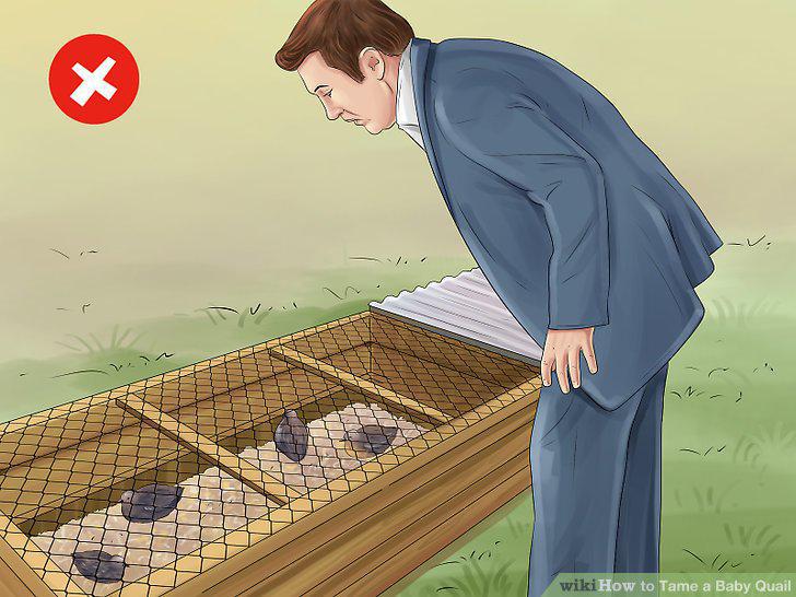 Step 7