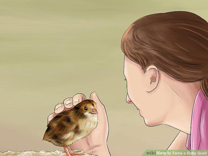 Step 9