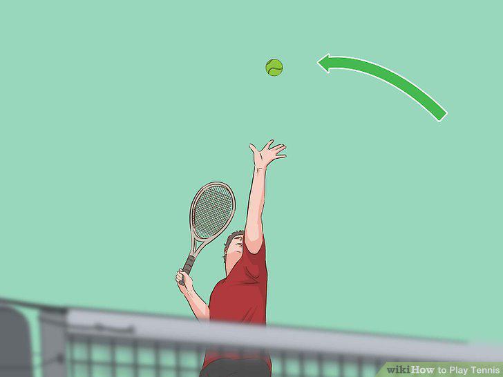 Step 19