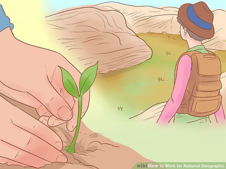 Step 10