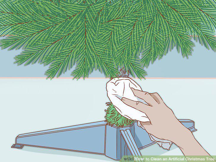 Step 5