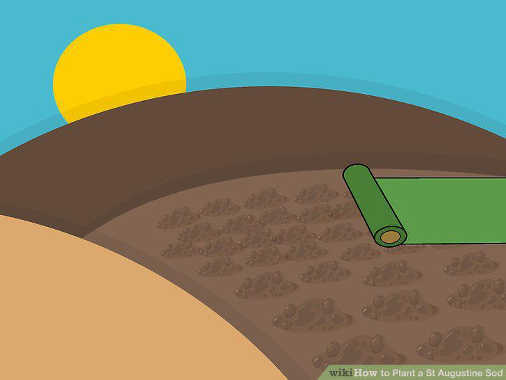 Step 6