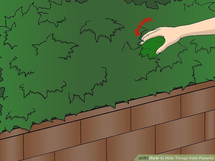 Step 10