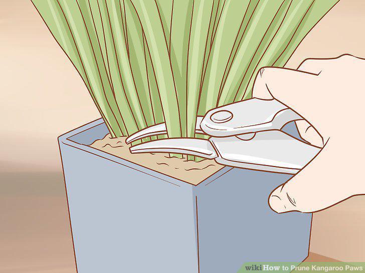 Step 2
