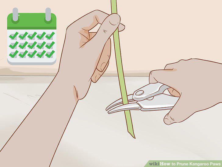 Step 11