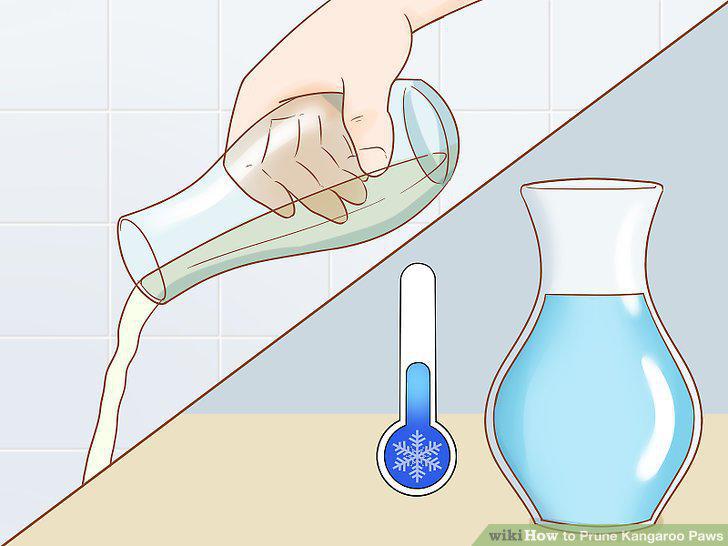 Step 12