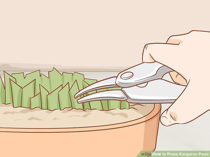 Step 5