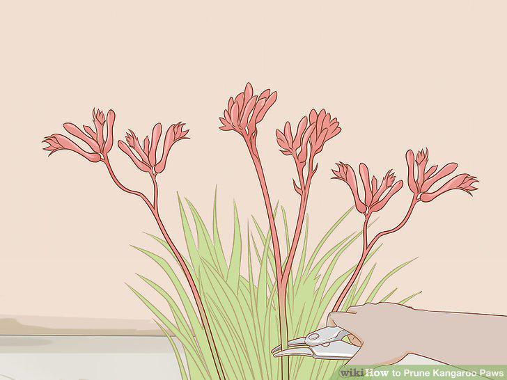 Step 8
